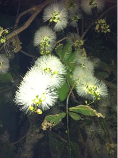20110701014111_0.jpg