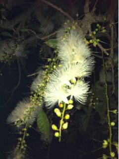 20110701014147_0.jpg