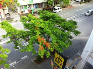 20110709093612_0.jpg