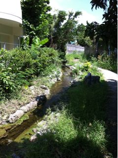 20110723223448_0.jpg