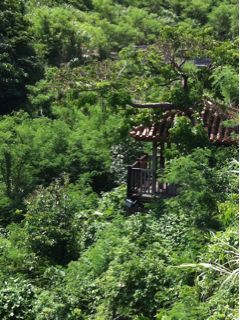 20110723223602_0.jpg