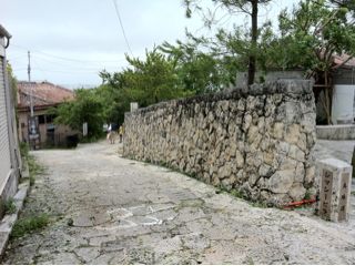 20110807161058_0.jpg