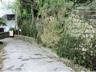 20110807161158_0.jpg