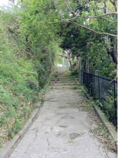 20110807161505_0.jpg