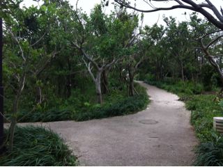20110808121922_0.jpg