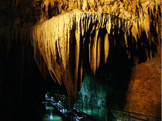 20110808123258_0.jpg