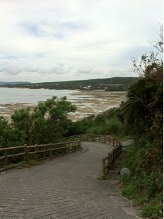 20110812174306_0.jpg