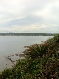 20110812174245_0.jpg