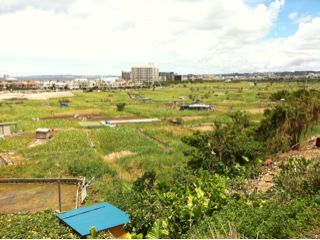 20110814135818_0.jpg