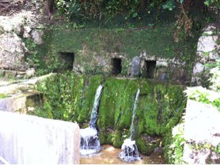 20110814135846_0.jpg