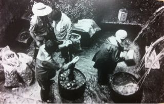 20110814135922_0.jpg