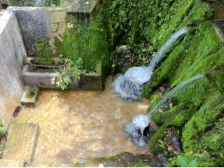20110814135952_0.jpg