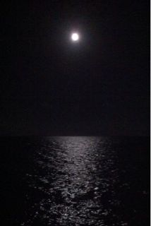 20110816112936_0.jpg