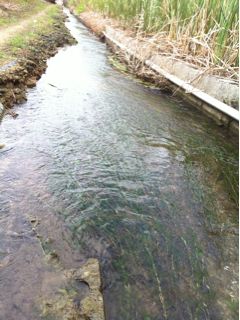 20110823210636_0.jpg