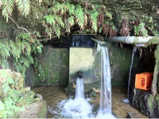 20110823232536_0.jpg