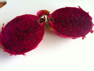 20110825154000_0.jpg