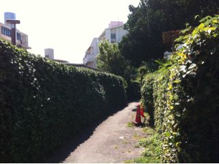 20110901161443_0.jpg