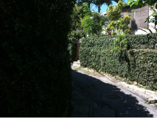 20110901161512_0.jpg