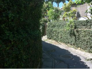 20110901161902_0.jpg