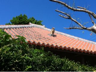 20110901175848_0.jpg