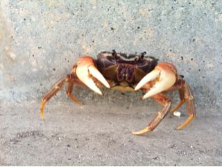 20110901191714_0.jpg