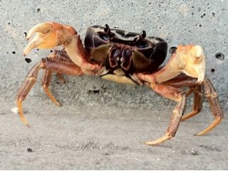 20110901191737_0.jpg