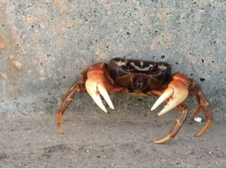 20110901191756_0.jpg