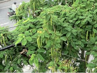 20111012104435_0.jpg