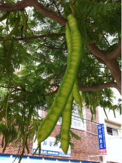 20111012130436_0.jpg