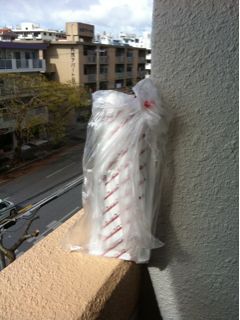 20111101142553_0.jpg