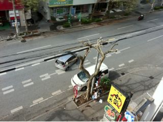20111106210338_0.jpg