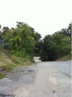 20111110175813_0.jpg