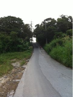 20111110175937_0.jpg