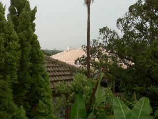 20120116151527_0.jpg