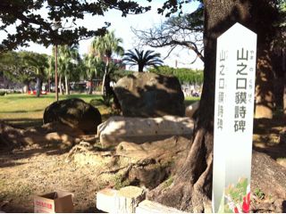 20120119075233_0.jpg