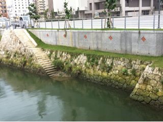20120315182513_0.jpg