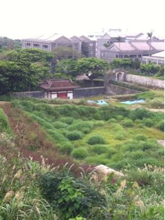20120316012705_0.jpg