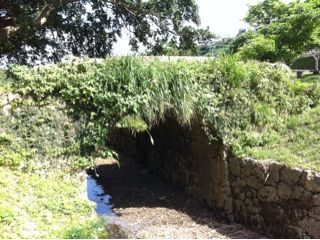 20120326142259_0.jpg