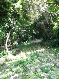20120327132531_0.jpg