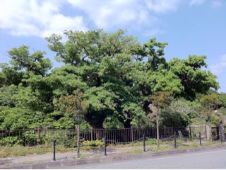 20120327211119_0.jpg