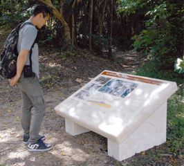 20120328052337_0.jpg