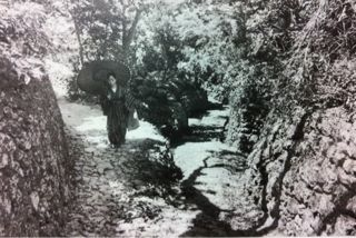 20120512061808_0.jpg