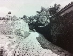 20120512061830_0.jpg