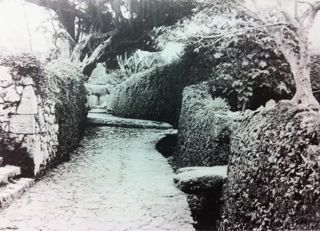 20120512061851_0.jpg