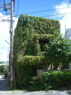 20120604015648_0.jpg