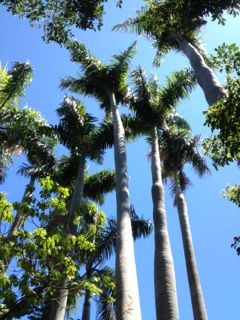 20120705072757_0.jpg