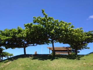 20120705072846_0.jpg