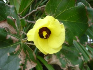 20120717164339_0.jpg