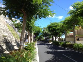 20120819150735_0.jpg
