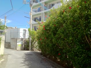 20120819150804_0.jpg